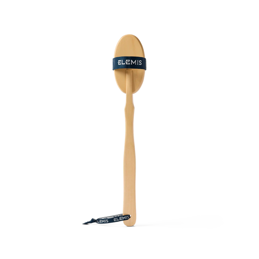 Dry Body Brush